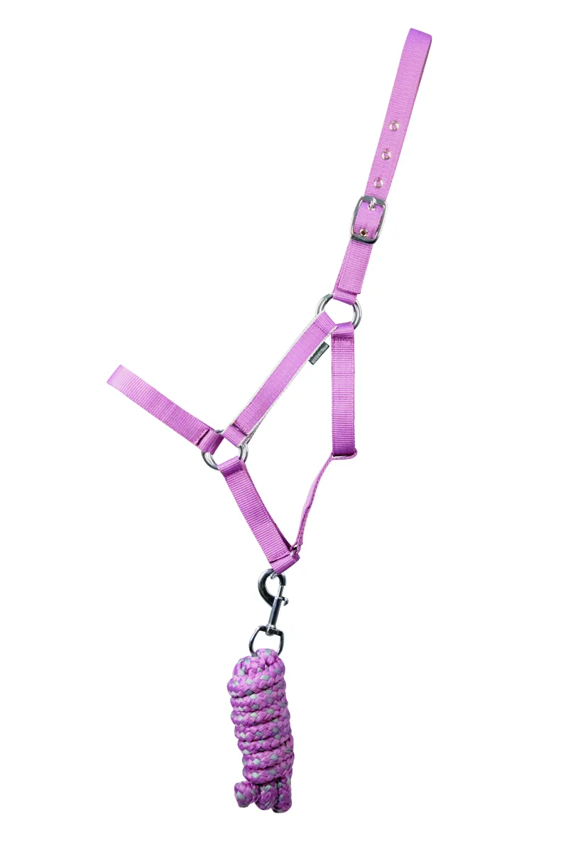 Hy Equestrian Synergy Head Collar and Lead Rope - Grape/Silver